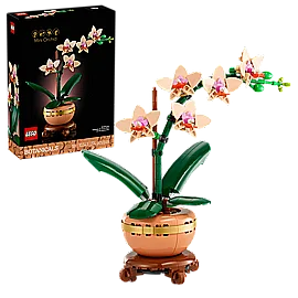 ��� ������� ���� ���� 10343