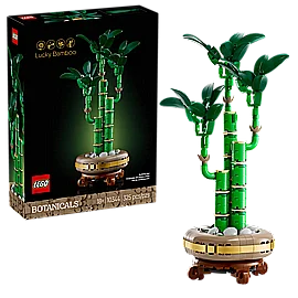 ��� ������� ����� ���� 10344