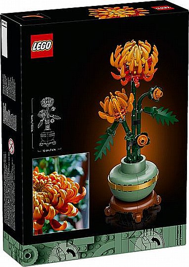 ��� ������ LEGO Icons 10368