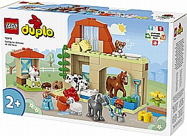 ��� ����� - ����� ����� ���� �����  10416