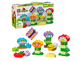 ��� �����  10444 �� ������ ������ ��������