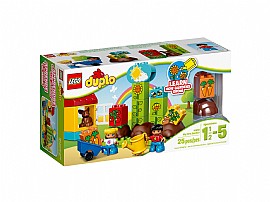 הגינה הראשונה שלי הגינה הראשונה שלי