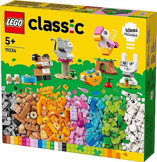 ��� ������ - ���� ���� ��������  11034
