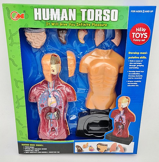 ��� ���� ��� ������� ������