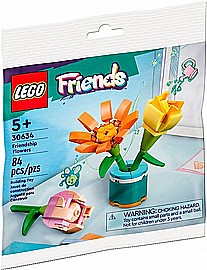 לגו חברות 30634 בשקית לגו חברות 30634 בשקית