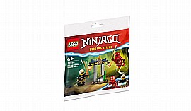 לגו קרב המקדש של קאי ורפטון 30650 לגו קרב המקדש של קאי ורפטון 30650