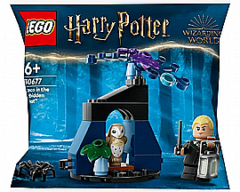 לגו הארי פוטר - קראקו ביער האסור 30677 לגו הארי פוטר - קראקו ביער האסור 30677