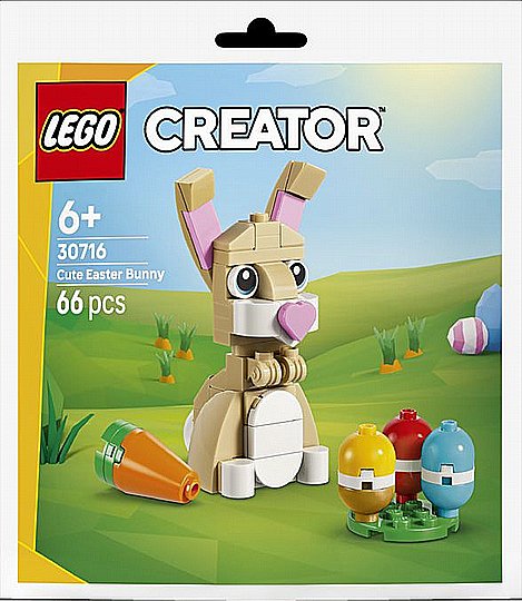 ��� �����  ��� DUPLO � ���� ����� (30712)