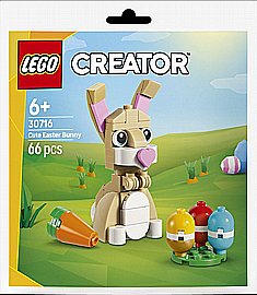 ��� �����  ��� DUPLO � ���� ����� (30712)