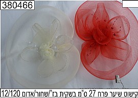 ����� ���� ��� 27 ��