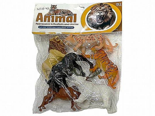 6 ���� ��� ��������  12 �"� 21X29 �"� �����