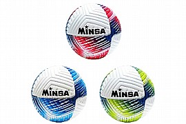 ������ ������� MINSA ���� 420 ���