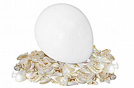 ���� ������ ��� 1/50 2.8 ��o ���� 12" 