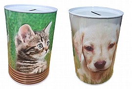 ���� ���� ����� ����/���