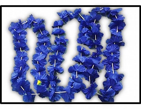����� ����� ����� 20 ����� 1/12