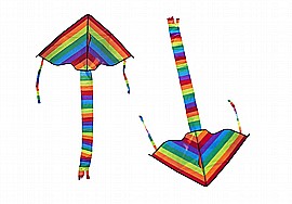 עפיפון קשת בענן כנפיים 110X68 ס"מ עפיפון קשת בענן כנפיים 110X68 ס"מ