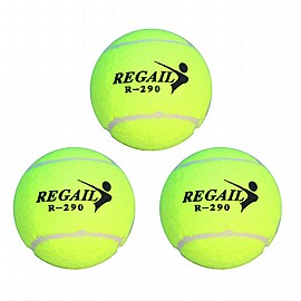 ���� ���� ������ 1/3 REGALL 