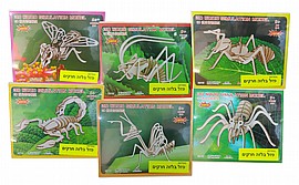 ��� ���� - 2 ����� - ����� - ����� ������ ���