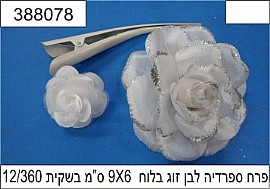 פרח ספרדיה לבן פרח ספרדיה לבן