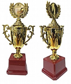 ���� ��� + ����� 25X12 �"�