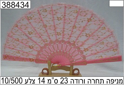 ����� ���� ����� 23 ��