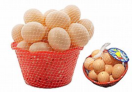 6 ����� ���� ������