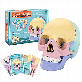 ����� ����� ������� ������