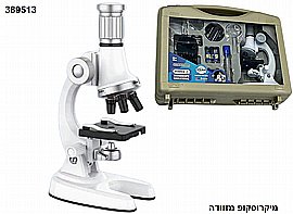 ��������� ����  ����� 1200 ������� 