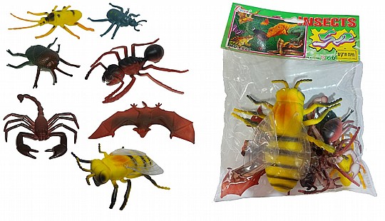 ���� ����� ���� 12 ������ 
