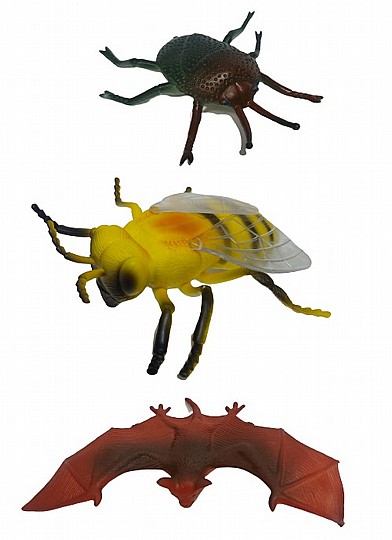���� ����� ���� 7 ������ 