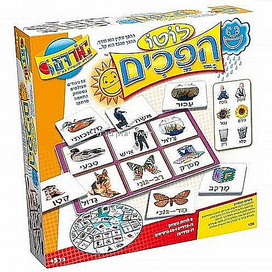 ���� �����