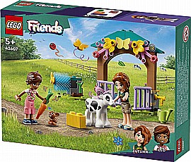 ��� ����� - ���� �� ���� �� �����  42607