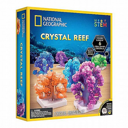 ���� ����� ������� - ����� 