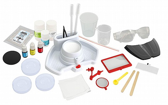 ���� ����� ����������� ���� ���� ����