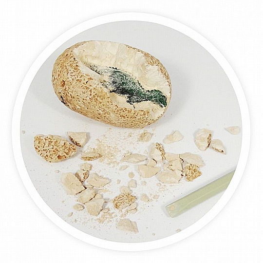 Buki France ���� �������� ������ + ���