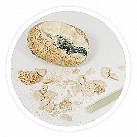 Buki France ���� �������� ������ + ���