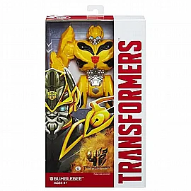 ���� ������ ���� ���� ����