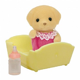 ����� ������ ����