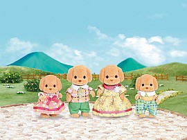  ����� ����