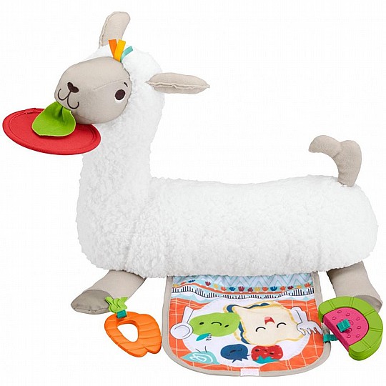 ��� ��� FISHER PRICE