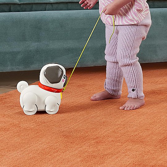����� ����� ������ ����� FP ���� ���� Walk-The-Pup-Pug �� ����� �������
