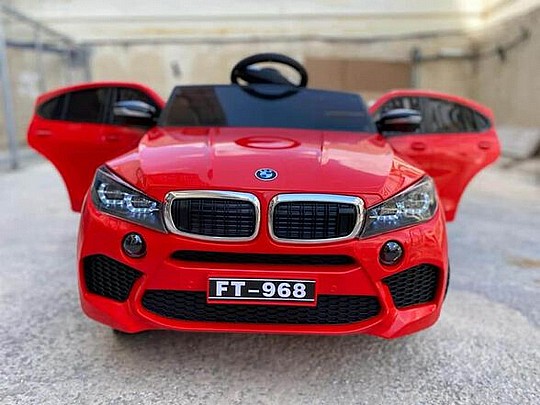 ������ ������ + ��� 12V ��� BMW X6
