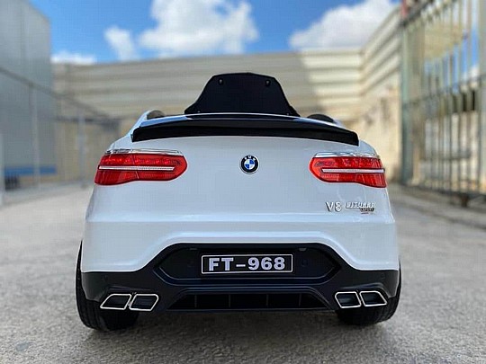 ������ ������ + ��� 12V ��� BMW X6 ����