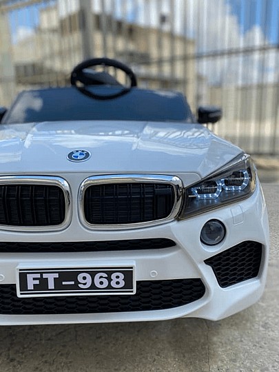 ������ ������ + ��� 12V ��� BMW X6 ����