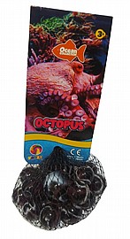 גולות 20 יחידות OCEAN OCTOPUS גולות 20 יחידות OCEAN OCTOPUS
