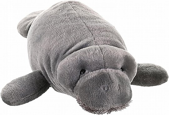 ��� �� - MANATEE �-43 �"�