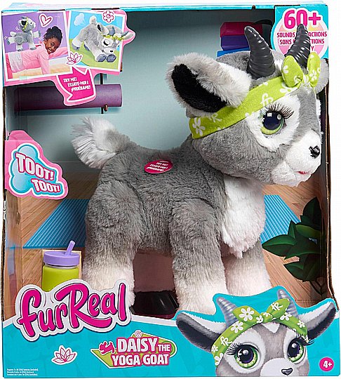 ������ ����� - ��� ������������� FURREAL ������ ����