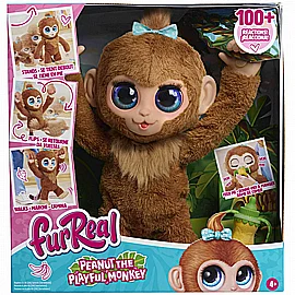 ������ ���� ��� ����� ������������ FURREAL 