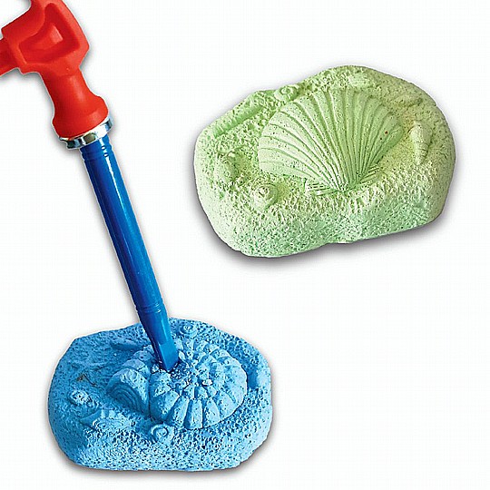 ���� ����� ������������ � ����� ���