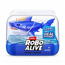 ���� ����� - ������ ����������� - �� ���